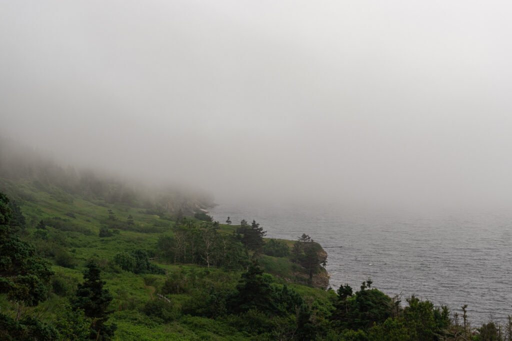 fog on a mountain with water under