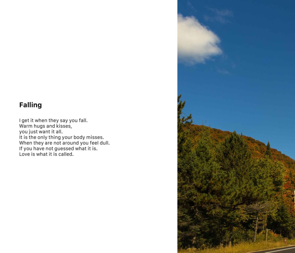 Page 12 - photo of a street in fall and poem